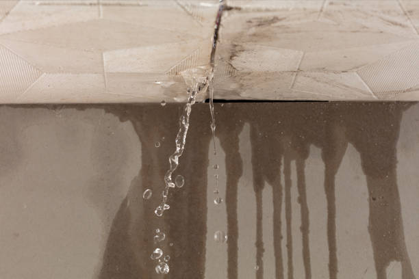 Professional Burst Pipe Cleanup technician working in Brewer, ME